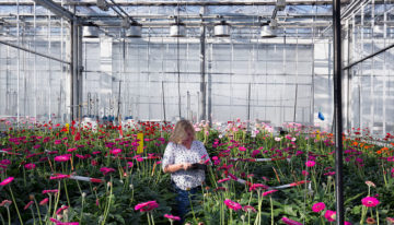 Extra miljoenen voor onderzoeksmodellen Wageningen University & Research