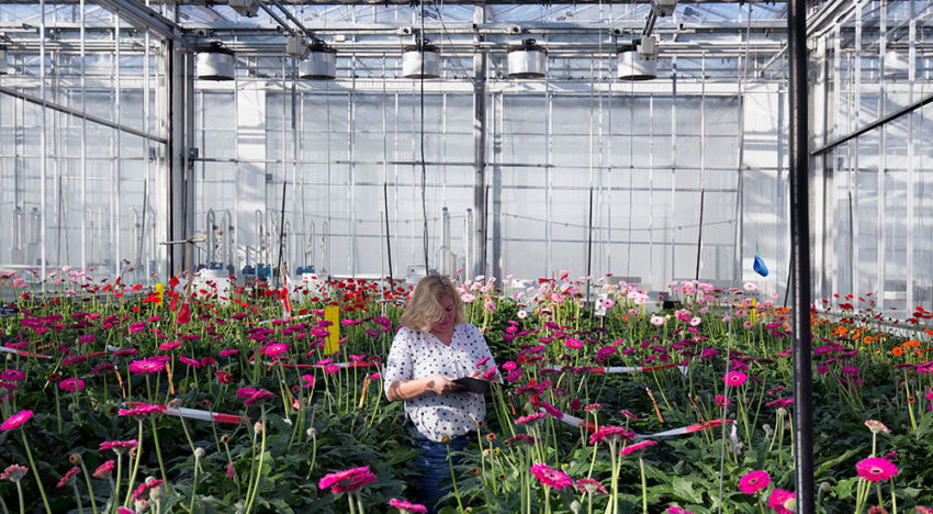Extra miljoenen voor onderzoeksmodellen Wageningen University & Research