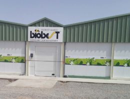 Biobest investeert in nieuwe productiefaciliteit voor biologische bladluisbestrijding