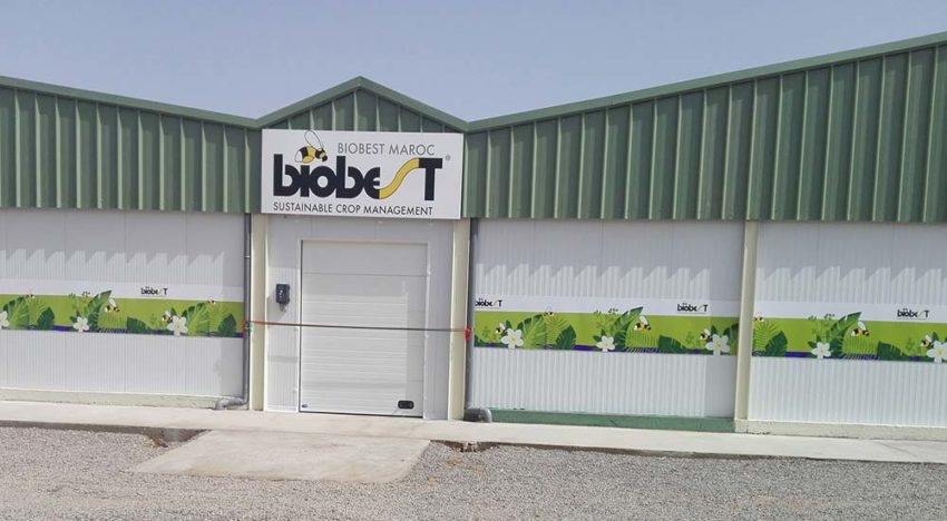 Biobest investeert in nieuwe productiefaciliteit voor biologische bladluisbestrijding