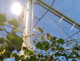 Fase 2 Smart Grid Westland van start