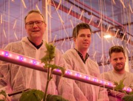 ‘Markt vraagt jaarrondproductie, dus daar gaan we voor’
