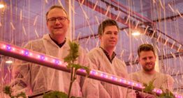 ‘Markt vraagt jaarrondproductie, dus daar gaan we voor’