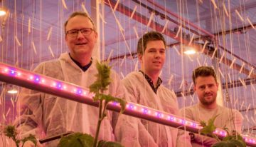 ‘Markt vraagt jaarrondproductie, dus daar gaan we voor’