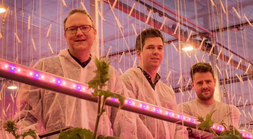 ‘Markt vraagt jaarrondproductie, dus daar gaan we voor’ ‘Markt vraagt jaarrondproductie, dus daar gaan we voor’