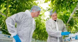 Elke plant eigen draingat verdeelt elementen in de mat gelijkmatiger