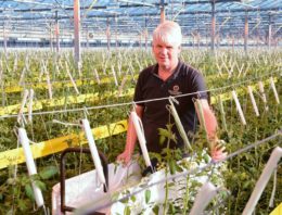 ‘Met meer en grovere vruchten streven naar 5% productiestijging’