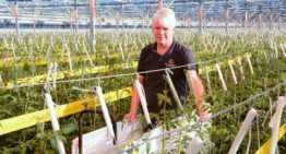 ‘Met meer en grovere vruchten streven naar 5% productiestijging’