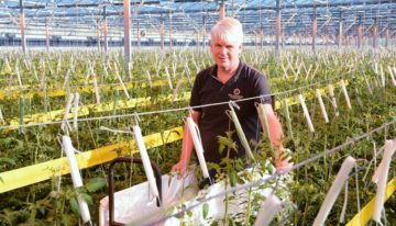 ‘Met meer en grovere vruchten streven naar 5% productiestijging’