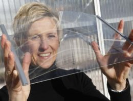 ‘Ultradun glas is interessant voor energiezuinige kas van de toekomst’