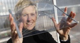 ‘Ultradun glas is interessant voor energiezuinige kas van de toekomst’