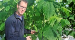 ‘Innovatie in biologische bestrijding is heel erg gewenst’