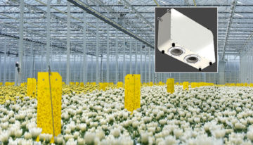 CropObserver biedt telers meer inzicht in groeiproces plant