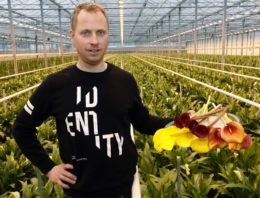 ‘Geliefd vanwege sprankelende kleuren en statige open kelk’
