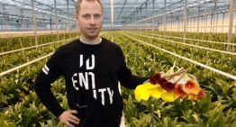 ‘Geliefd vanwege sprankelende kleuren en statige open kelk’