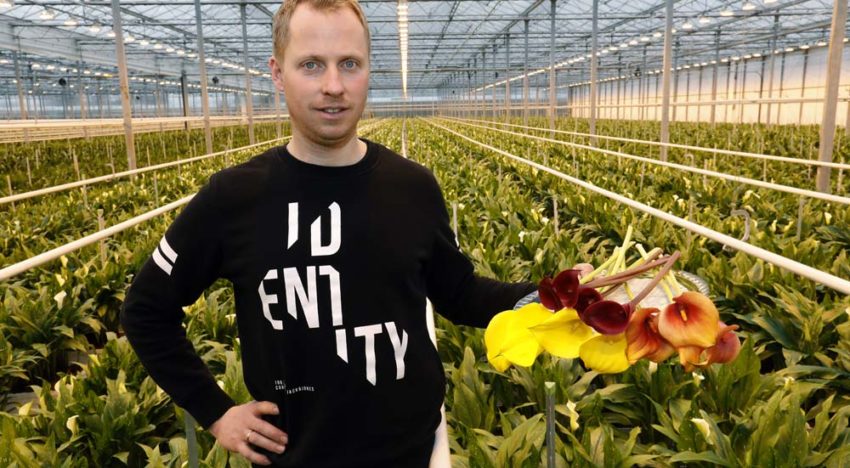 ‘Geliefd vanwege sprankelende kleuren en statige open kelk’