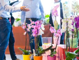 Inschrijving Orchid Inspiration Days 2018 geopend