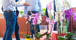 Inschrijving Orchid Inspiration Days 2018 geopend