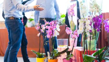 Inschrijving Orchid Inspiration Days 2018 geopend