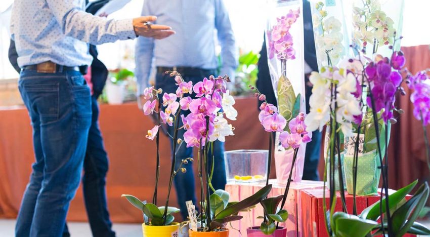 Inschrijving Orchid Inspiration Days 2018 geopend