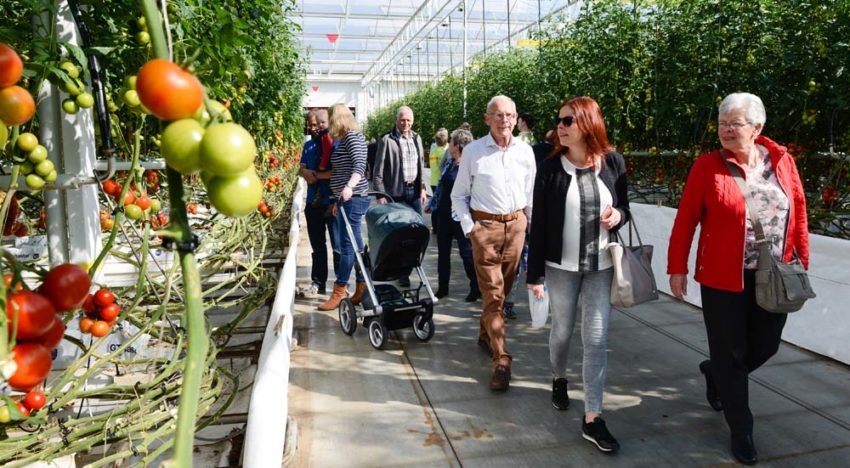 Kom in de Kas toont wederom breed palet van de glastuinbouw