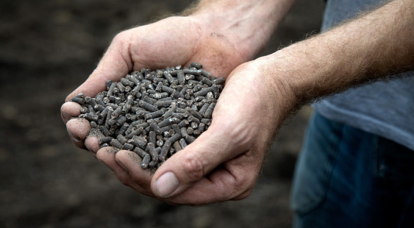 Wees kritisch op het toevoegen van plantversterkers