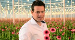 ‘We blijven ons teeltsysteem en energieplaatje optimaliseren’
