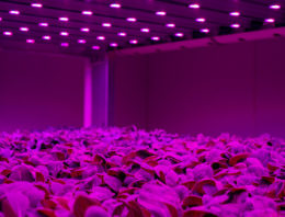 Staay Food Group bouwt nieuwe vertical farm naast Fresh Care centrum