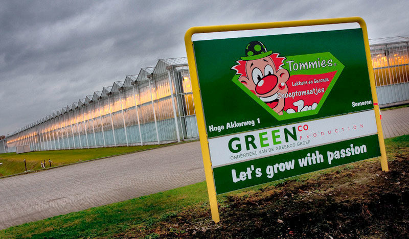 Kas van Greenco in Someren na hagelstorm weer volledig in productie