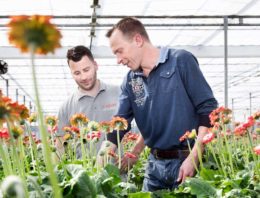 Overstap naar natuurlijke meststoffen vraagt andere manier van denken en doen