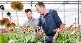 Overstap naar natuurlijke meststoffen vraagt andere manier van denken en doen