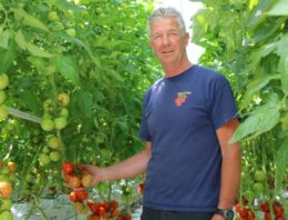Tomatenteler verfijnt meststofgift steeds verder en houdt systeem schoon