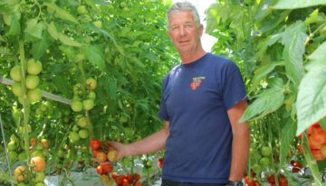 Tomatenteler verfijnt meststofgift steeds verder en houdt systeem schoon