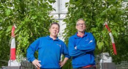 ‘Bij ons staat de plant centraal, eventuele energiebesparing is bonus’