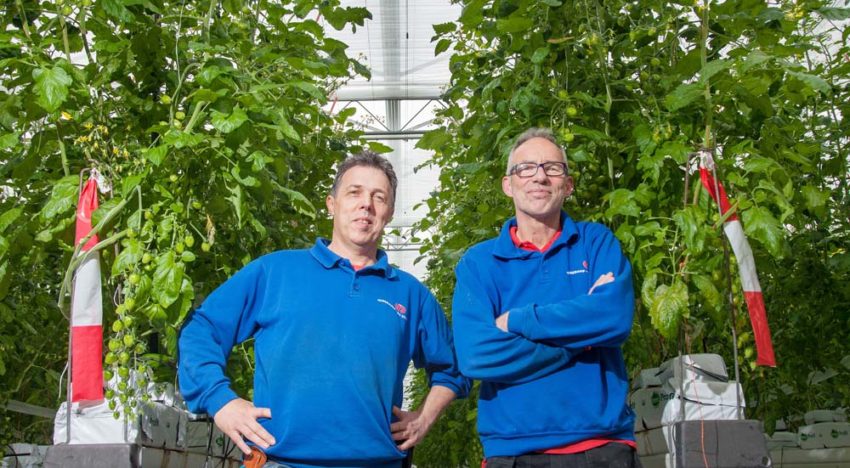 ‘Bij ons staat de plant centraal, eventuele energiebesparing is bonus’ ‘Bij ons staat de plant centraal, eventuele energiebesparing is bonus’