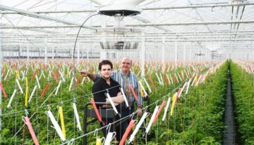 ‘Ik krijg kippenvel van zulke gelijkmatig kleurende tomaten’