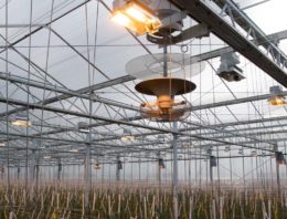 Hele sector leert snel van nieuwe technieken op praktijkbedrijven