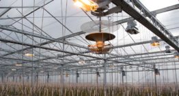 Hele sector leert snel van nieuwe technieken op praktijkbedrijven
