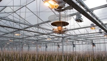 Hele sector leert snel van nieuwe technieken op praktijkbedrijven
