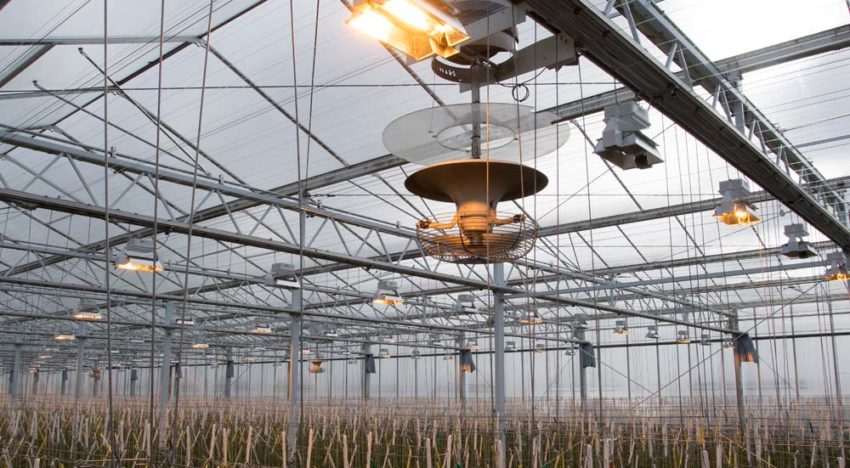 Hele sector leert snel van nieuwe technieken op praktijkbedrijven