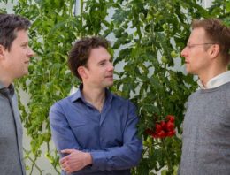 Big data navigeren telers over paar jaar naar hun doelstellingen