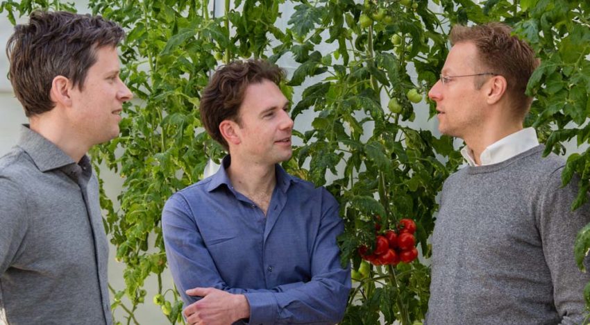 Big data navigeren telers over paar jaar naar hun doelstellingen