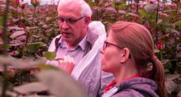 Nieuw kleurenspectrum verrast onderzoekers en telers