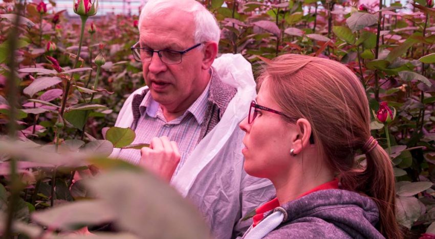 Nieuw kleurenspectrum verrast onderzoekers en telers