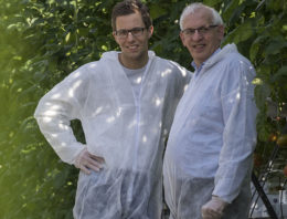 ‘Als je slim tomaten teelt krijg je energiebesparing op de koop toe’