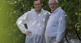 ‘Als je slim tomaten teelt krijg je energiebesparing op de koop toe’