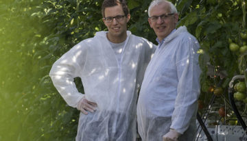 ‘Als je slim tomaten teelt krijg je energiebesparing op de koop toe’