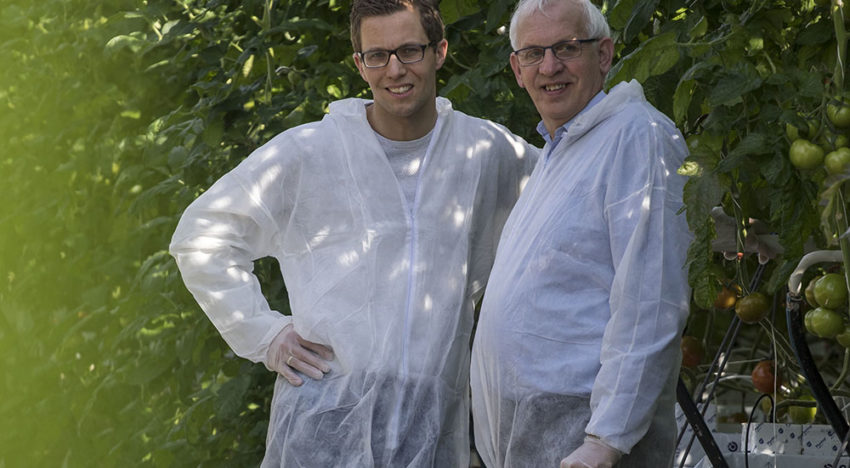 ‘Als je slim tomaten teelt krijg je energiebesparing op de koop toe’