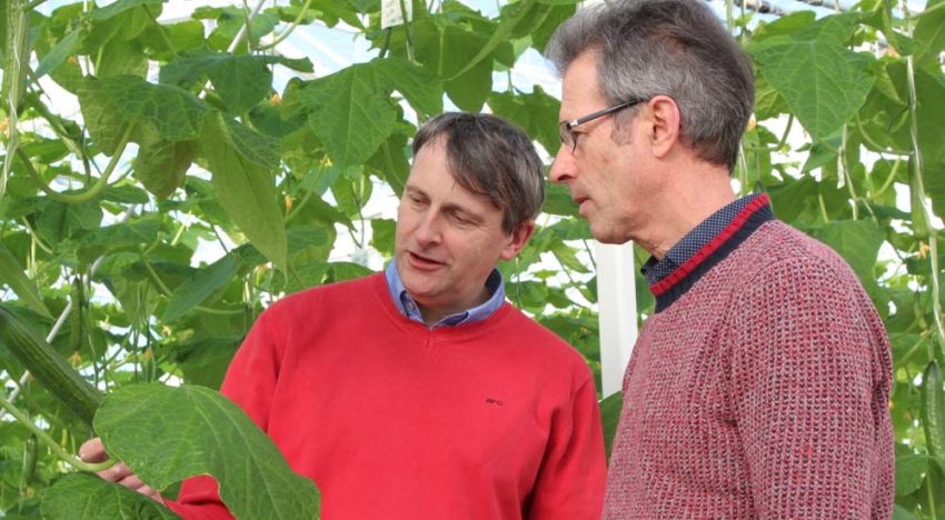 10% lichtwinst door transparant dek, uniek scherm en gecoate constructie