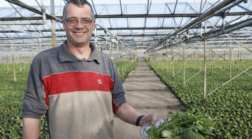 ‘Twaalf soorten uitheemse groenten, waarvan zeven jaarrond’ ‘Twaalf soorten uitheemse groenten, waarvan zeven jaarrond’